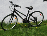 mon vélo - icone - img_6853