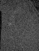 img_1670v