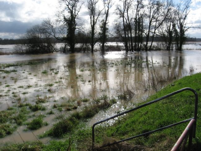 20130202_1_meuves_debordement.de.la.cisse